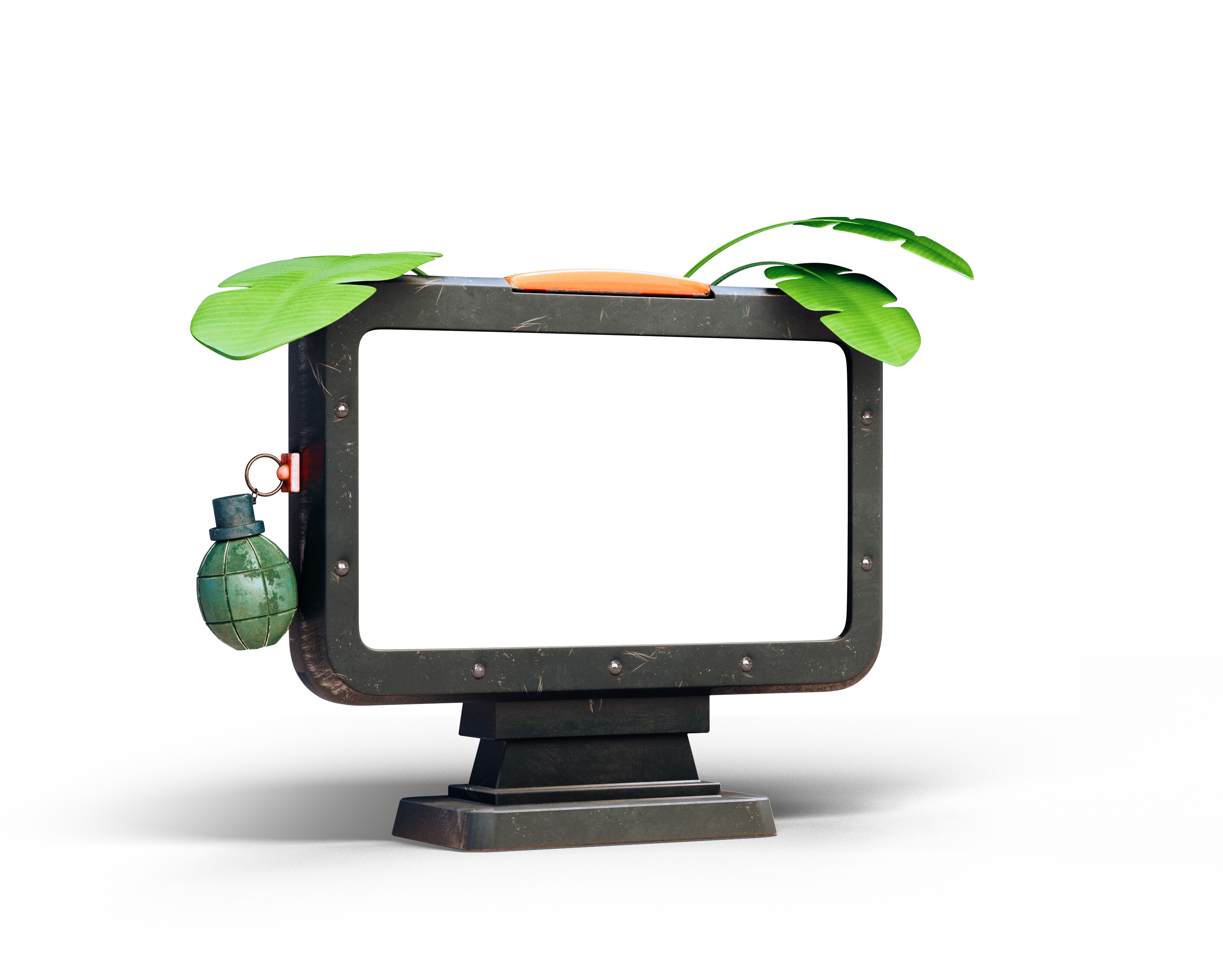 Monitor